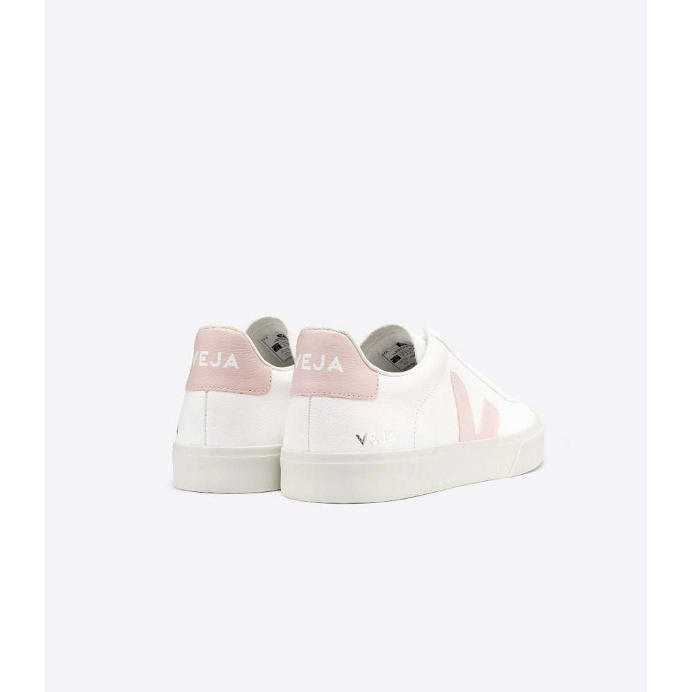 Low Tops Sneakers Dama Veja CAMPO CHROMEFREE White/Pink | RO 463KOR